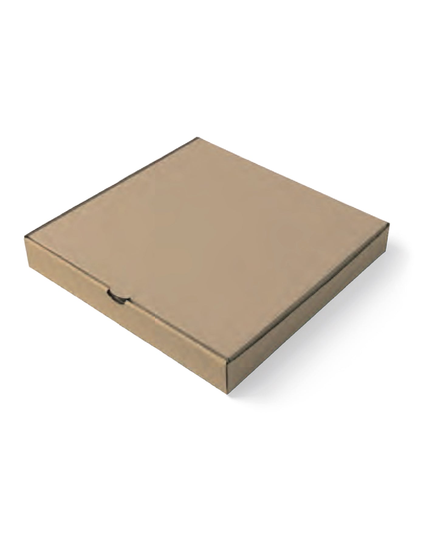 12" plain brown pizza box