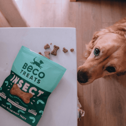 Beco Dog Treats -  Insect with Apple & Chia Seeds