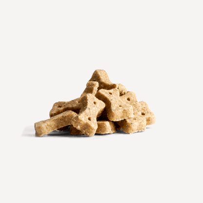 Beco Dog Treats -  Insect with Apple & Chia Seeds