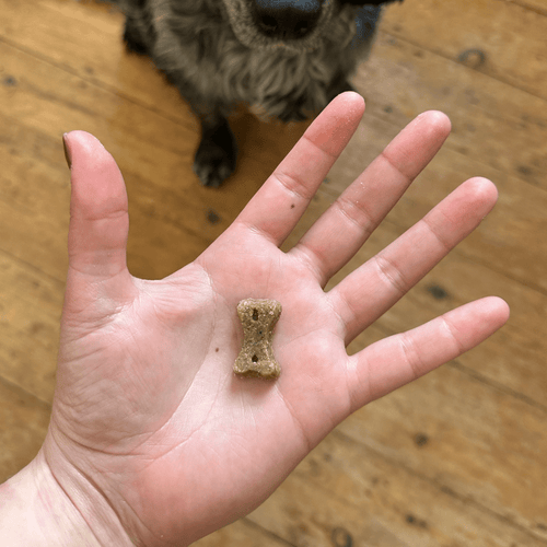 Beco Dog Treats -  Insect with Apple & Chia Seeds