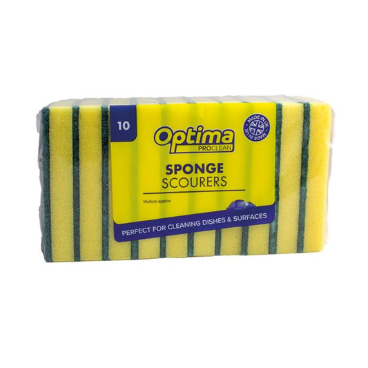 Large Catering Sponge Scourers