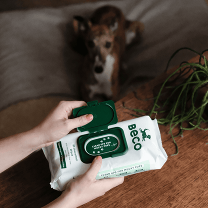 Beco Bamboo Dog Wipes | Unscented