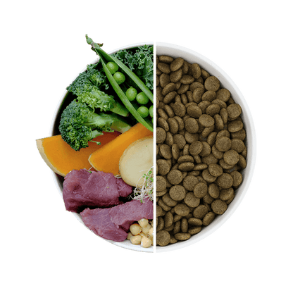 Beco Dry Dog Food - Wild Boar with Pumpkin & Broccoli (2kg)