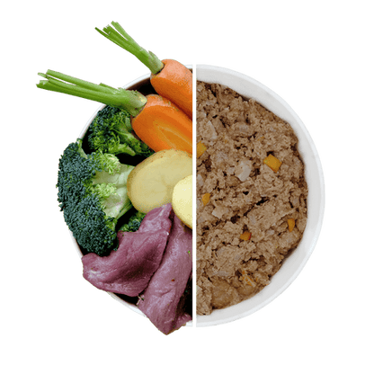 Beco Wet Dog Food -  Wild Boar with Broccoli & Carrots