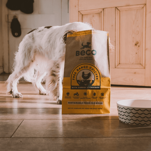 Beco Dry Dog Food - Free Range Chicken with Carrot & Chicory (2kg)