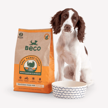 Free Range Turkey Dry Puppy Food - Grain and Gluten Free
