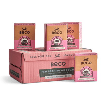 Beco Wet Dog Food -  Wild Boar with Broccoli & Carrots