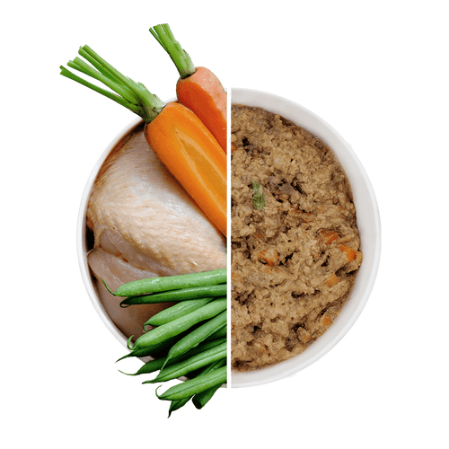 Beco Wet Dog Food - Free Range Chicken with Carrots & Green Beans