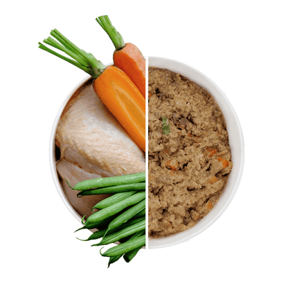 Beco Wet Dog Food - Free Range Chicken with Carrots & Green Beans