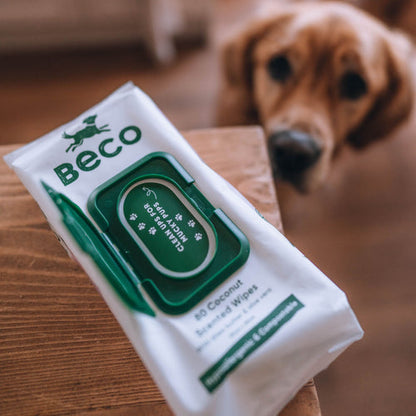 Beco Bamboo Dog Wipes | Coconut Scented