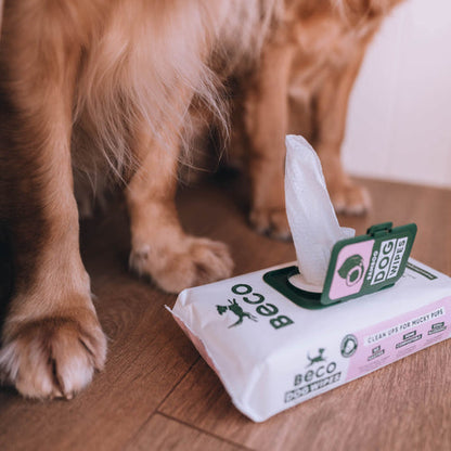 Beco Bamboo Dog Wipes | Coconut Scented