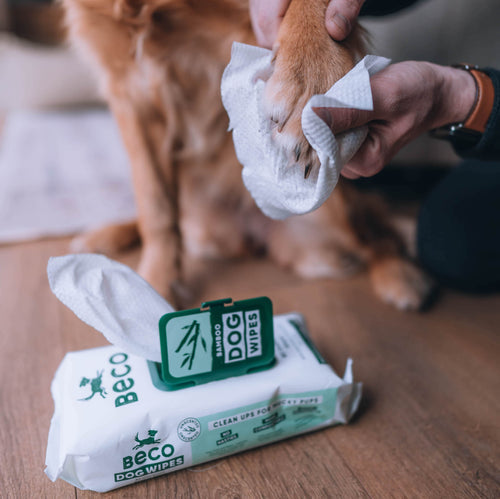 Beco Bamboo Dog Wipes | Unscented