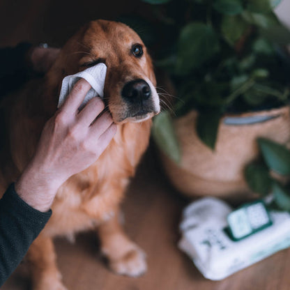 Beco Bamboo Dog Wipes | Unscented