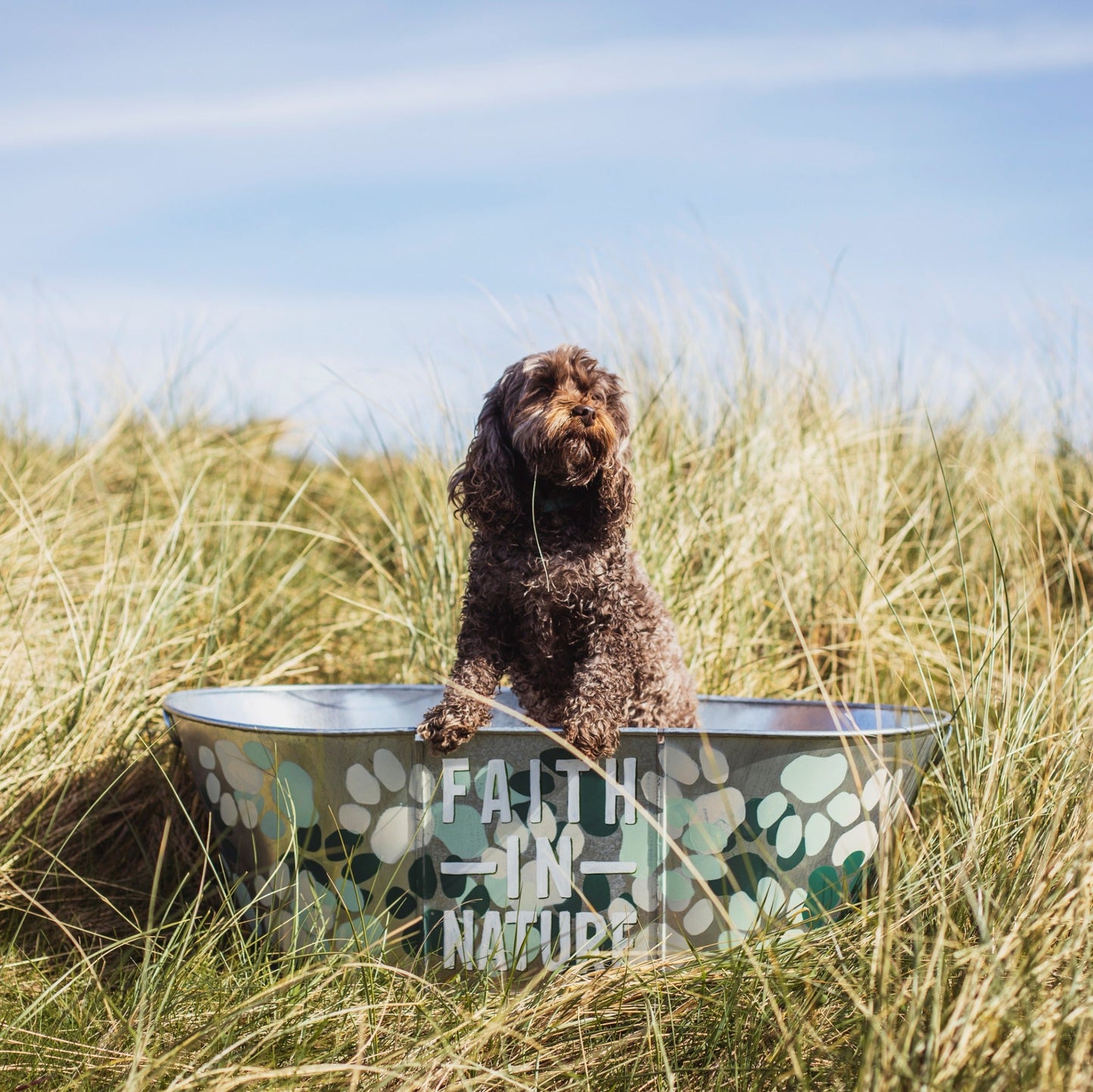 Faith in Nature Coconut Dog Shampoo Bar