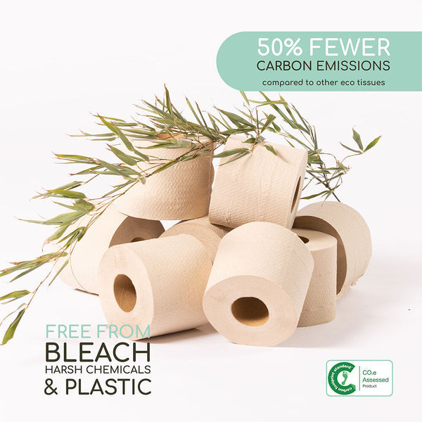 Which toilet paper is best? Memphies