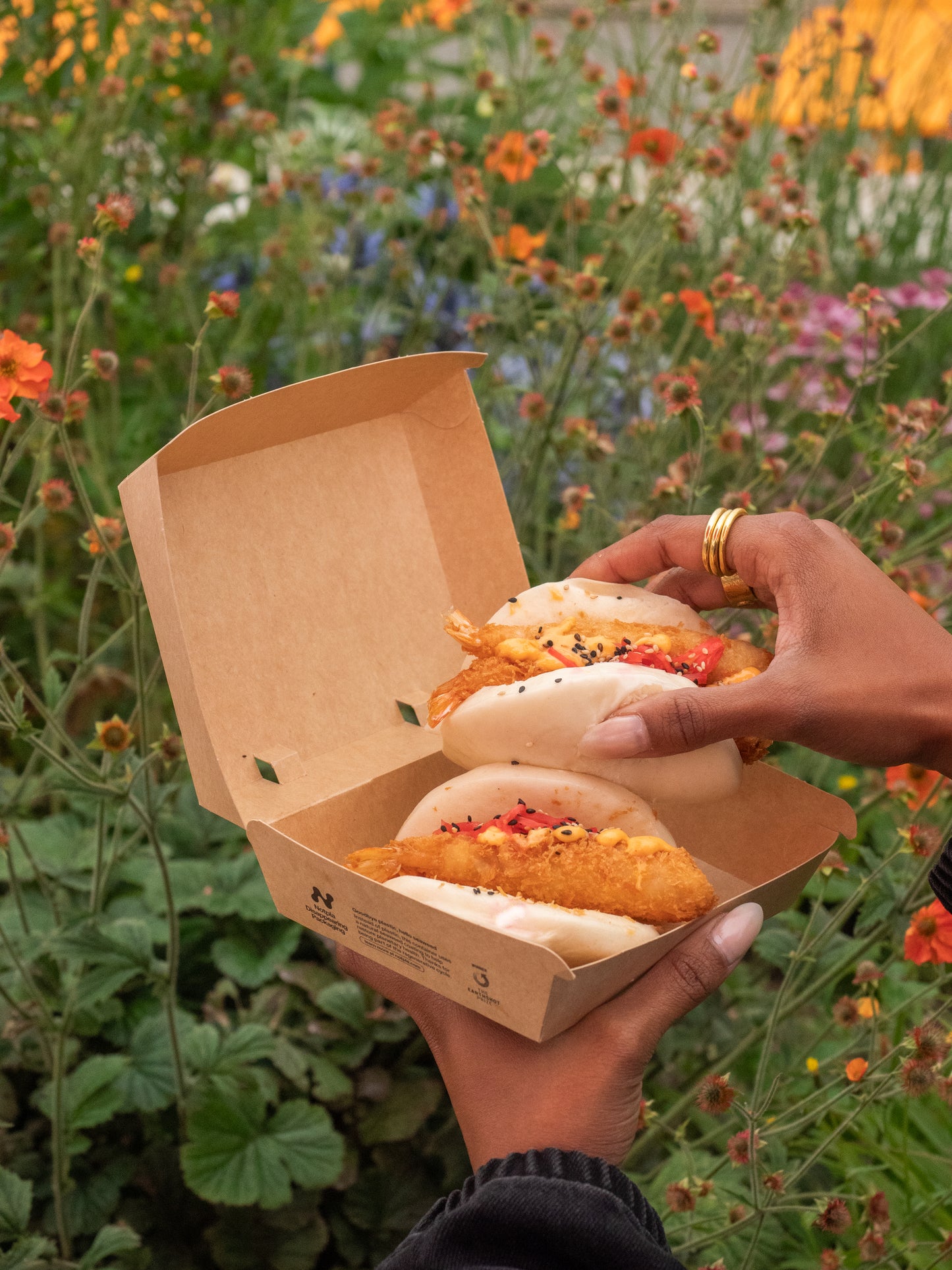 Notpla Clamshell - 7x5”