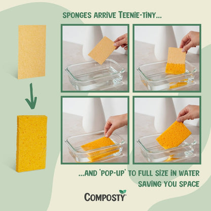 Composty Magic Pop-Up Sponges